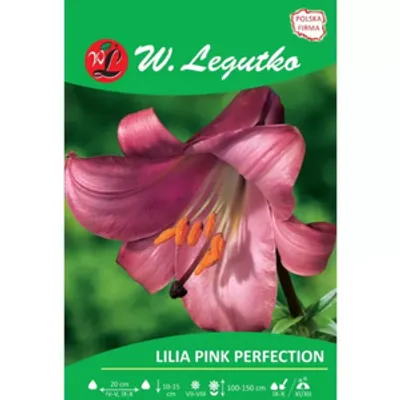 Lilia Pink Perfection różowa 1szt.