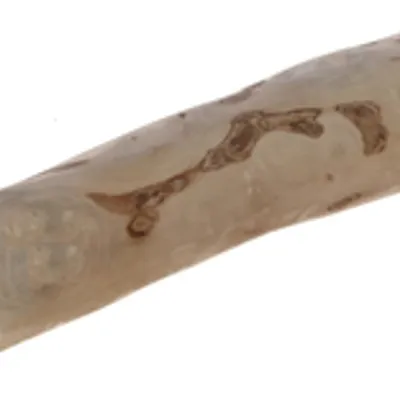 Kerbl Patyk do żucia, drewno kawowe, Ø 5-7 cm, 25-30cm