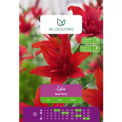 Lilia Red Twin czerwona 1szt.