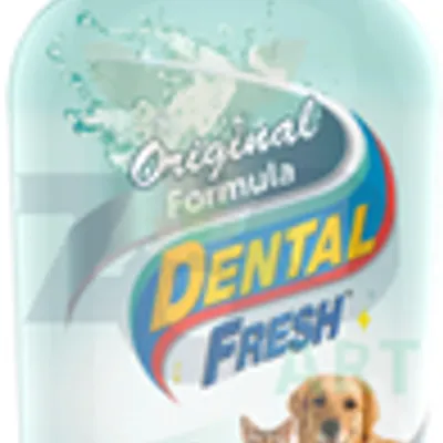SYNERGY LABS Dental Fresh Spray 118ml