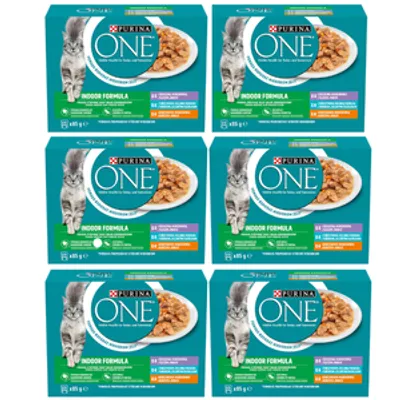 Purina One Indoor Formula Karma dla dorosłych kotów 6x(12x85g)