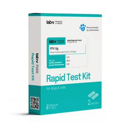 Lab-v Antygen Wirusa Panleukopenii (FPV) – Szybki test diagnostyczny dla kotów 2 szt.-Data ważności  14.11.2025