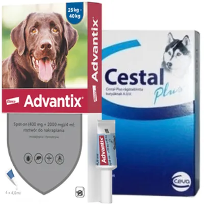 Advantix - dla psów 25-40kg (4 pipety x 4ml)+ Cestal Dog Plus tabletki na odrobaczanie psów 2 sztuki