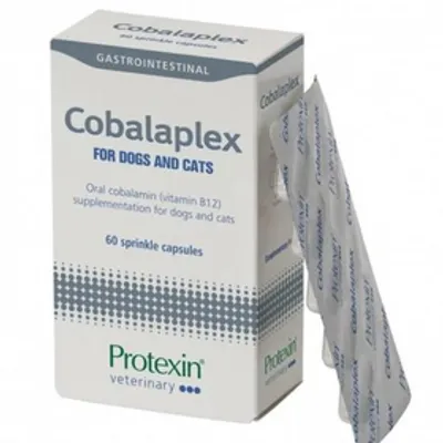 Protexin Cobalaplex 60 kapsułek probiotyk dla psa i kota