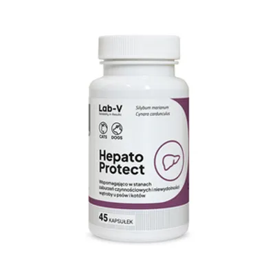 Hepatiale Forte 40 tab.