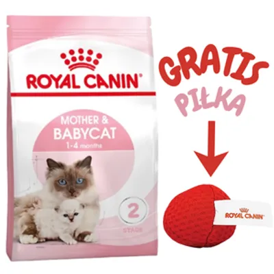 ROYAL CANIN  Mother&Babycat 4kg karma sucha dla kotek w okresie ciąży, laktacji i kociąt od 1 do 4 miesiąca życia + Royal Canin piłka dla kota GRATIS!!