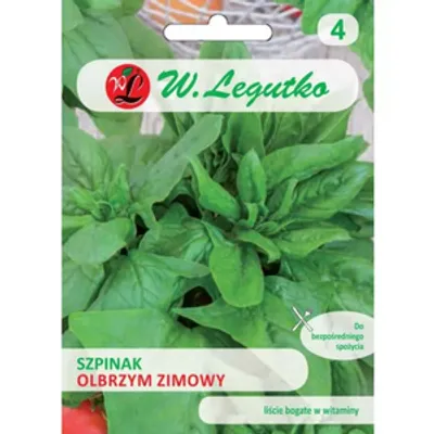 Szpinak Olbrzym Zimowy