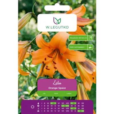 Lilia Orange Space pomarańczowa 1szt.