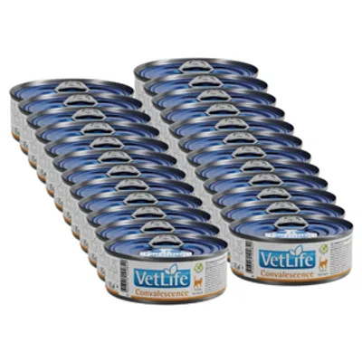 Farmina Vet Life Convalescence Cat 24x85g
