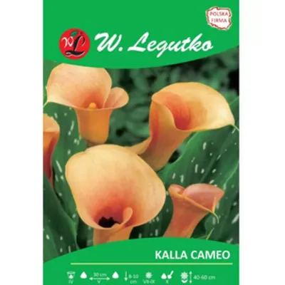 Kalla Cameo łososiowa 1szt.