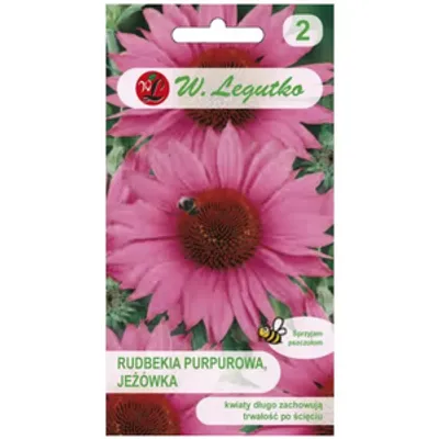 Rudbekia purpurowa, Jeżówka - różowa