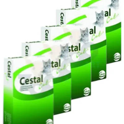 Cestal Cat tabletki na odrobaczanie kotów 10 tabletek