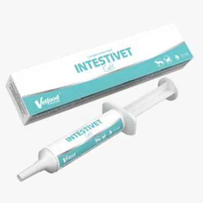 VETFOOD Intestivet Gel 15 ml