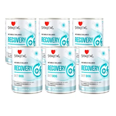 Disugual Karma mokra dla psa Weterynaryjna RECOVERY Sola (dorosły) 6x400g