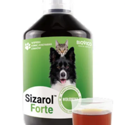 BIOVICO Sizarol Forte 250 ml
