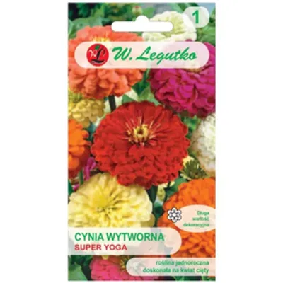 Cynia wytworna Super Yoga mieszanka wielkokwiatowa