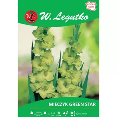 Mieczyk Green Star zielony 5szt.