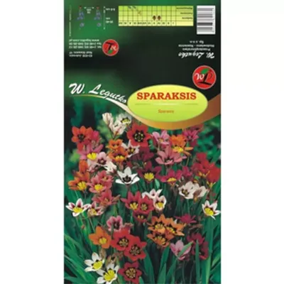 Sparaksis mieszanka 10szt.
