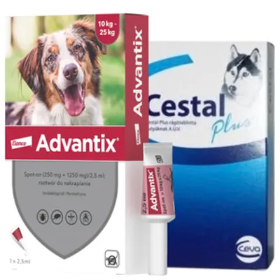 Advantix - dla psów 10-25kg (pipeta 2,5ml)