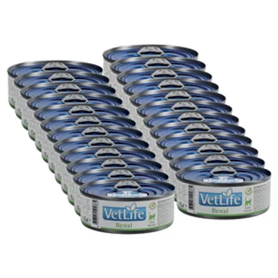 Farmina Vet Life Renal Cat 24x85g