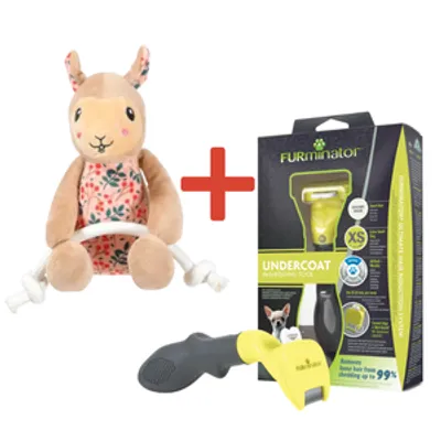 FURMINATOR dla psów krótkowłosych - Toy Dog XS + Zabawka dla psa GRATIS!