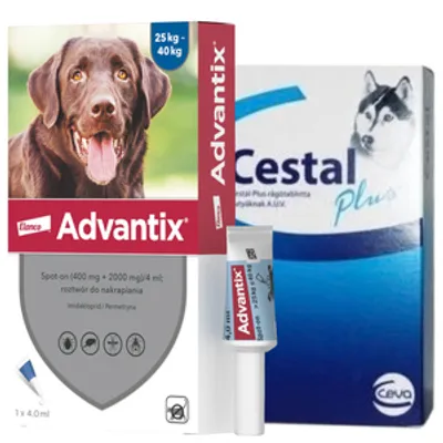 Advantix - dla psów 25-40kg (pipeta 4ml)