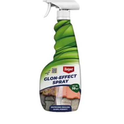 GLON EFFECT SPRAY 500 ML
