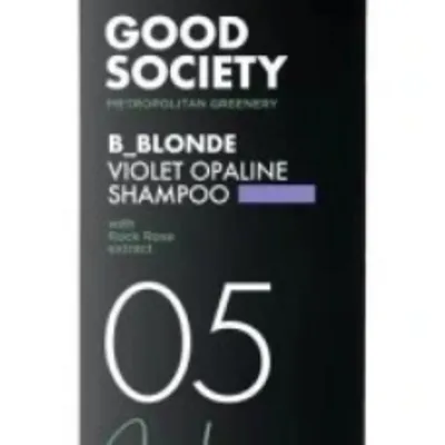 Artego good soc. b_blonde 05 violet shampoo 250 ml