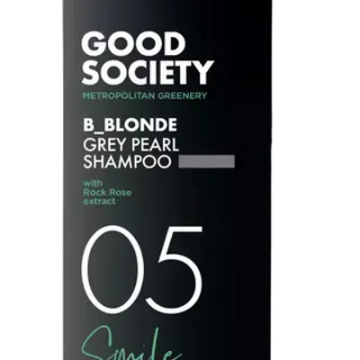 Artego good society b_blonde 05 grey shampoo 250 ml
