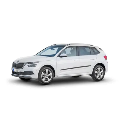 Skoda Kamiq 2019- listwy boczne F-41
