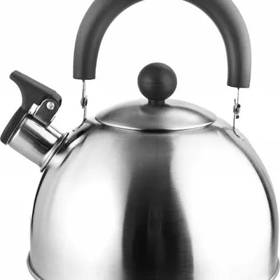 Czajnik Brunner Dayo Srebrny 1,8L