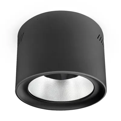 Downlight natynkowy LED Phoenice 35W 3000-5700K czarny