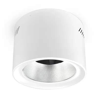 Downlight natynkowy LED Phoenice 35W 3000-5700K biały