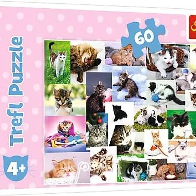 Trefl Puzzle Koci Świat 60 el.