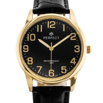 Zegarek męski Perfect klasyka (zp269g)