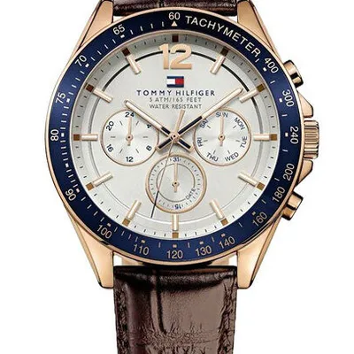 Zegarek męski Tommy Hilfiger 1791118 (zf066a)