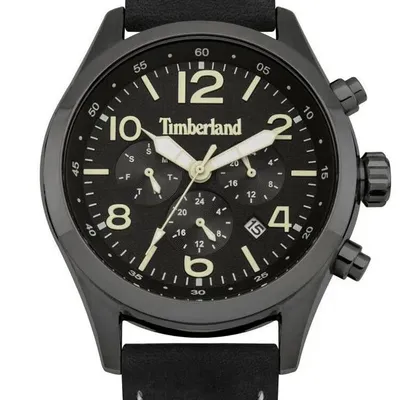 Zegarek męski TIMBERLAND ashmont tbl.15249jsu/02 (zq006d)