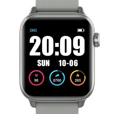 Smartwatch unisex G. Rossi sw013-2 grey (sg008b)