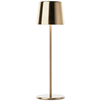 Lampa stołowa xaana led cct+dim regulowana | mosiądz