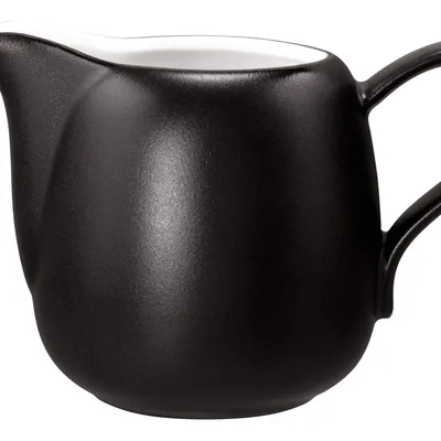 Seltmann Weiden - Mlecznik 260ml Liberty Velvet Black