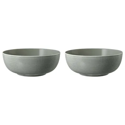 Seltmann Weiden - Zestaw 2 misek 20cm Beat Color Glaze szary