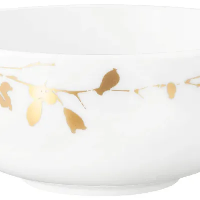 Seltmann Weiden - Miseczka 15.5cm Liberty Golden Rose Hip