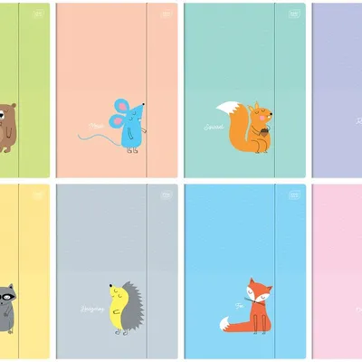 Teczka z gumką A4+ BB Kids Pastel okładka kolor mix