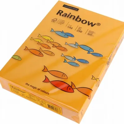 Papier Xero Rainbow A4 160G Jasno Pomarań R 22