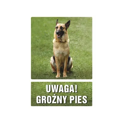 Znak TDC Uwaga Groźny Pies /TDC