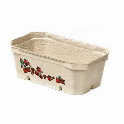 Pojemnik na Owoce z Pulpy Papierowej 100x190x65 500g / Berigard