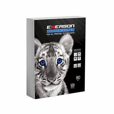 Papier Xero A5 210x99mm 80g A'500 Emerson