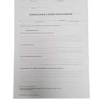 Oświadczenie o Stanie Majątkowym A4 100szt. / Graf-System