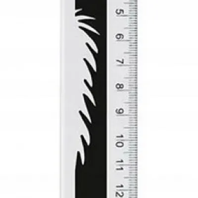 Linijka Fiorello EXTRA plastikowa 20 cm GR-896E
