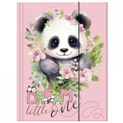 Teczka A4 z Gumką Panda /Derform